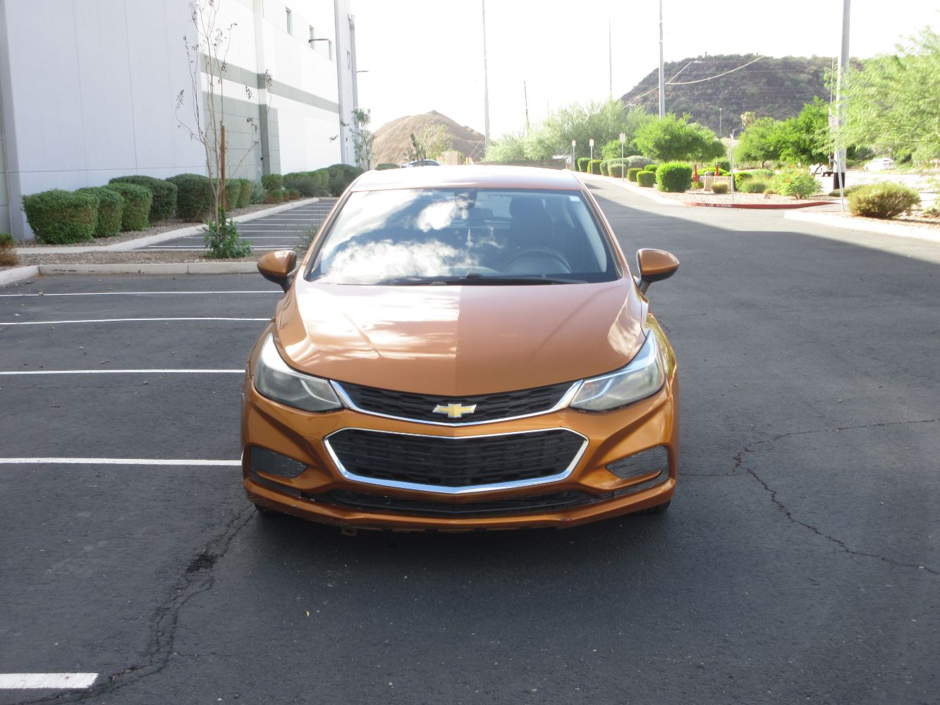 Car Image 7