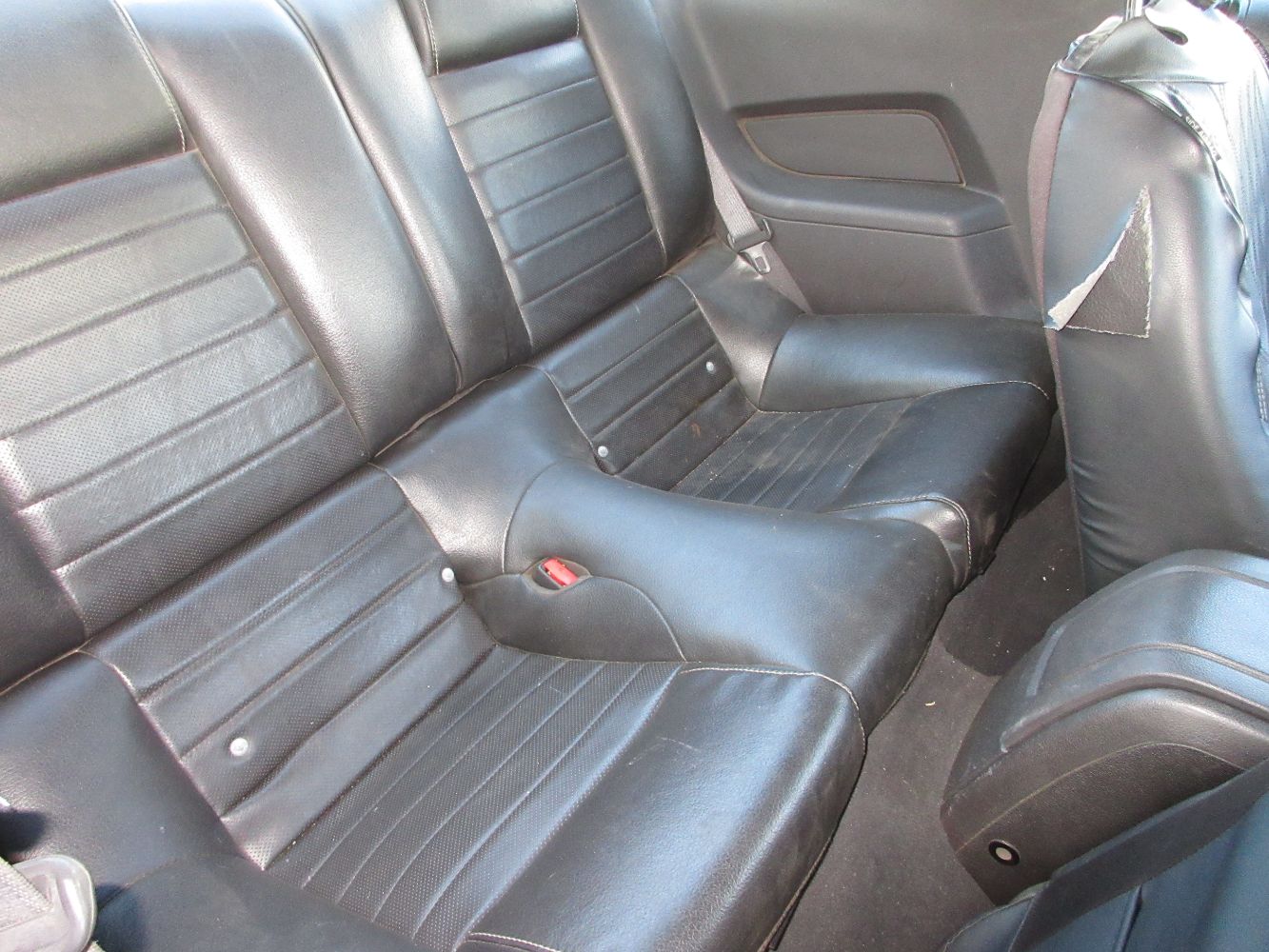 Car Image 11