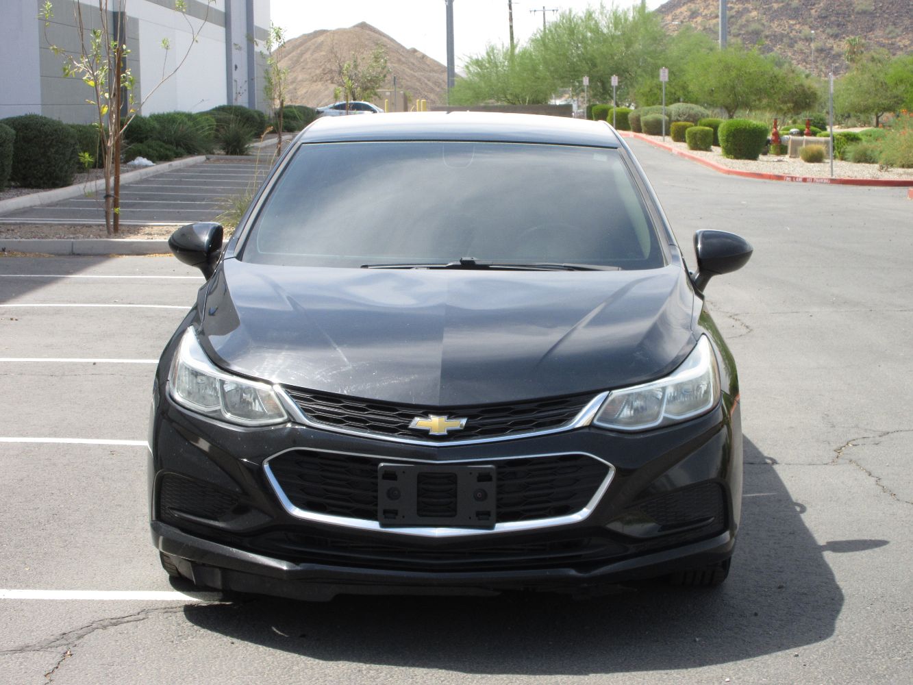 Car Image 7