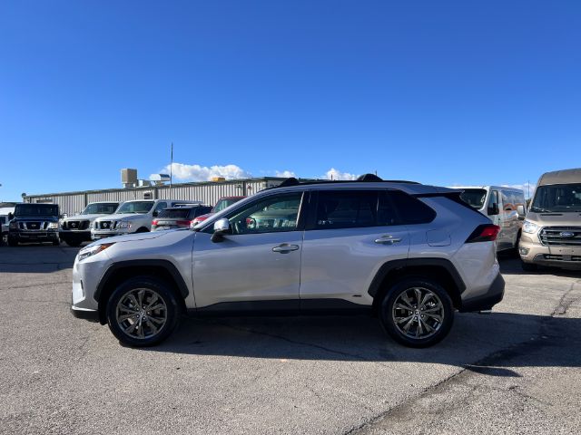 2024 Toyota RAV4 Hybrid XLE Premium 4