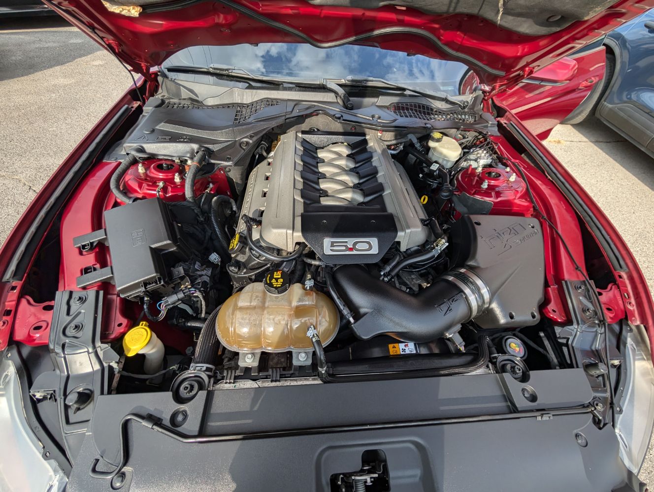 2015 Ford Mustang GT photo 9